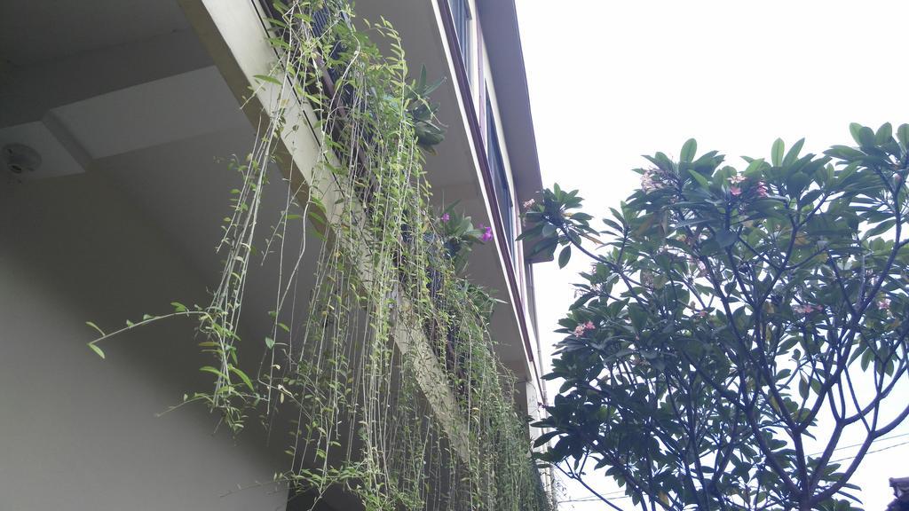 Nyoman Badri Homestay Ubud Exteriör bild
