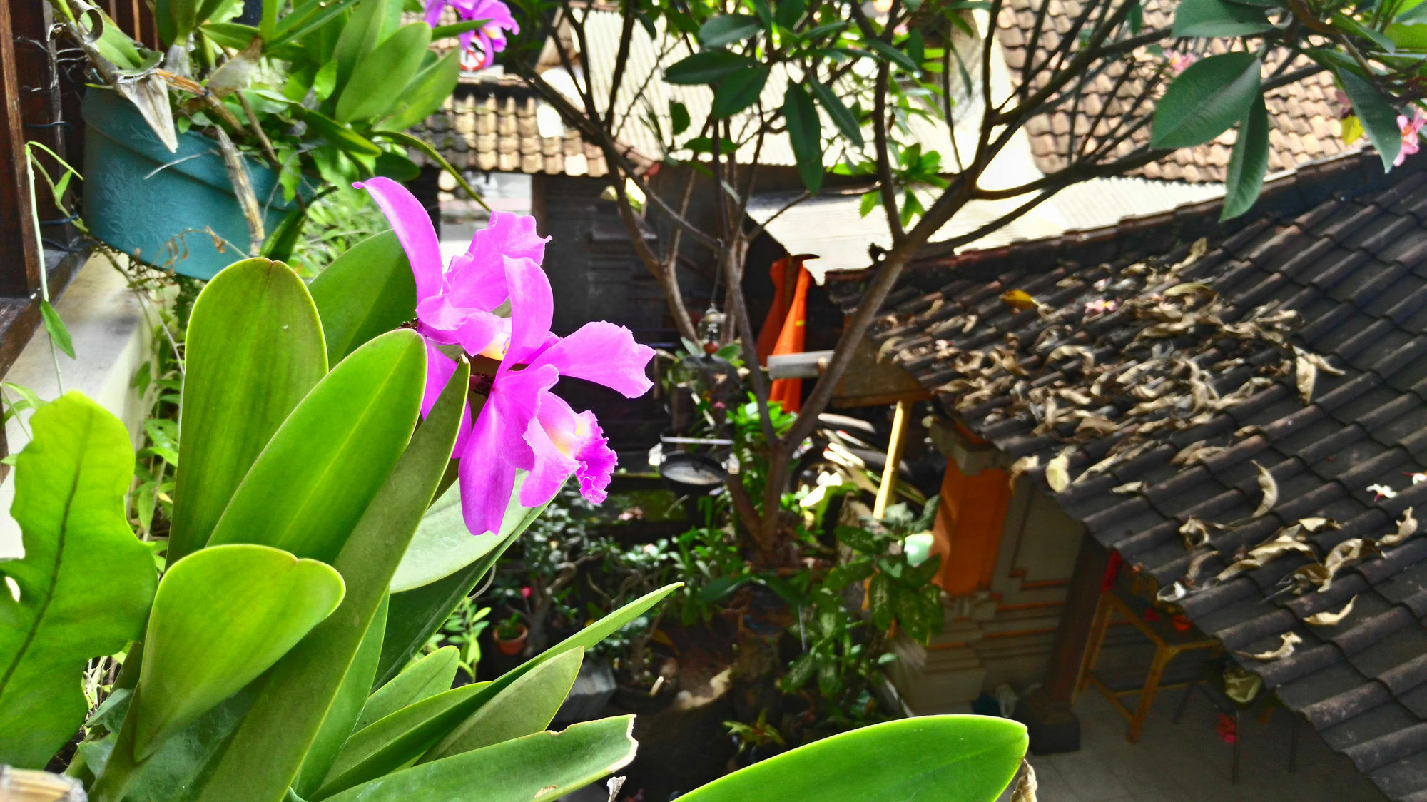 Nyoman Badri Homestay Ubud Exteriör bild